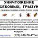 уничтожение насекомых, грызунов, микроорганизмов в Минске